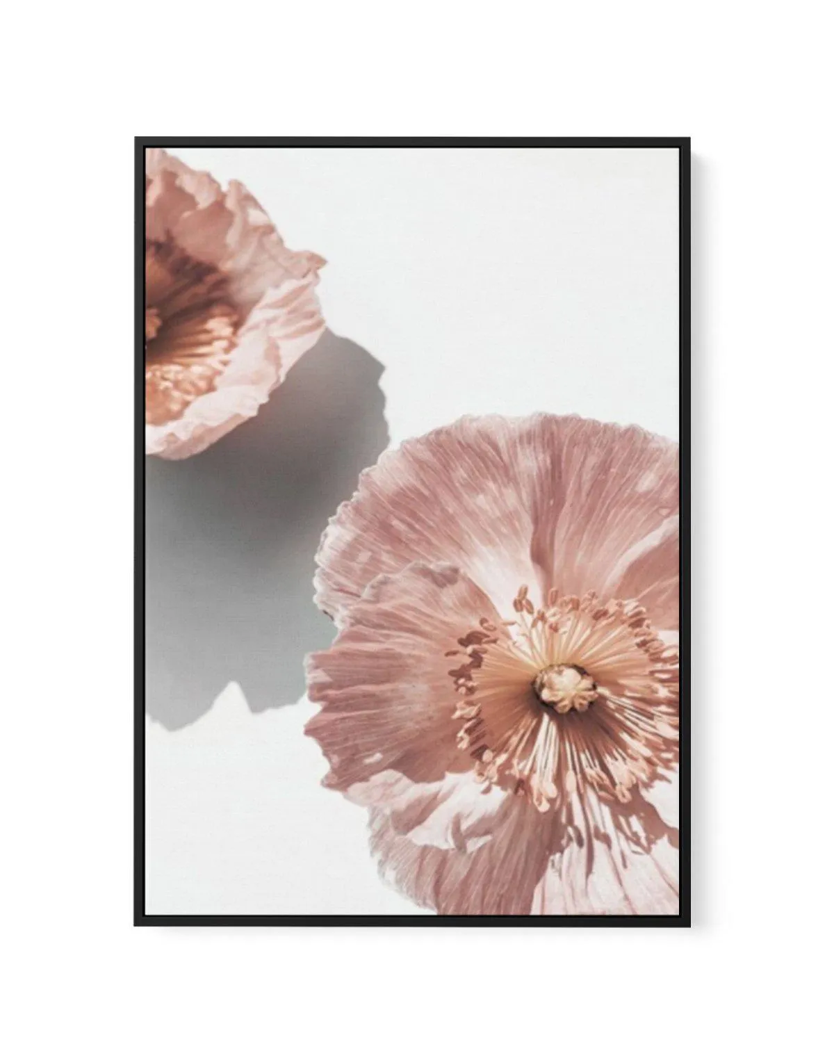 Abstract Poppies II | Framed Canvas