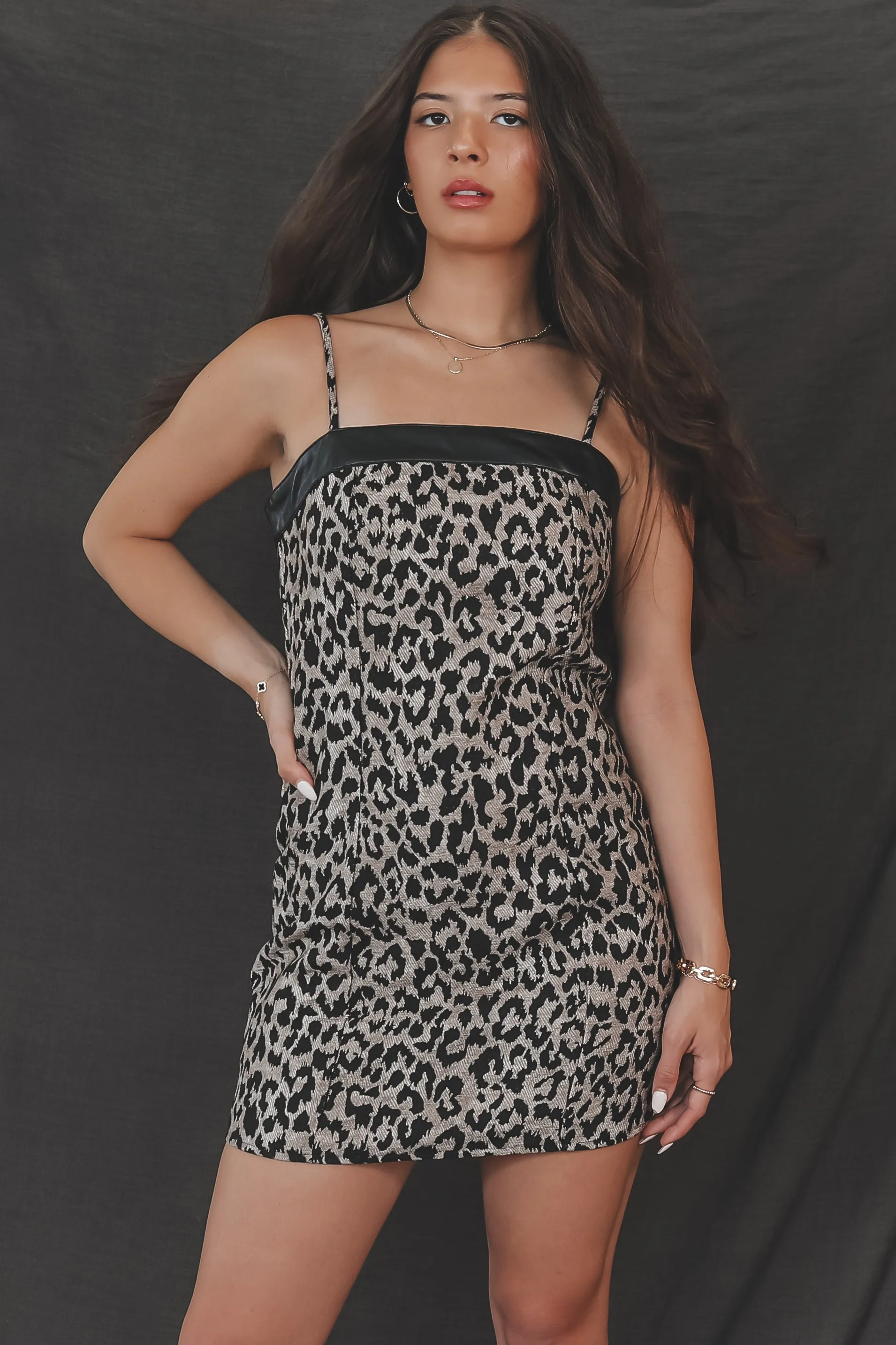 An Entrance Was Made Leopard Mini Dress