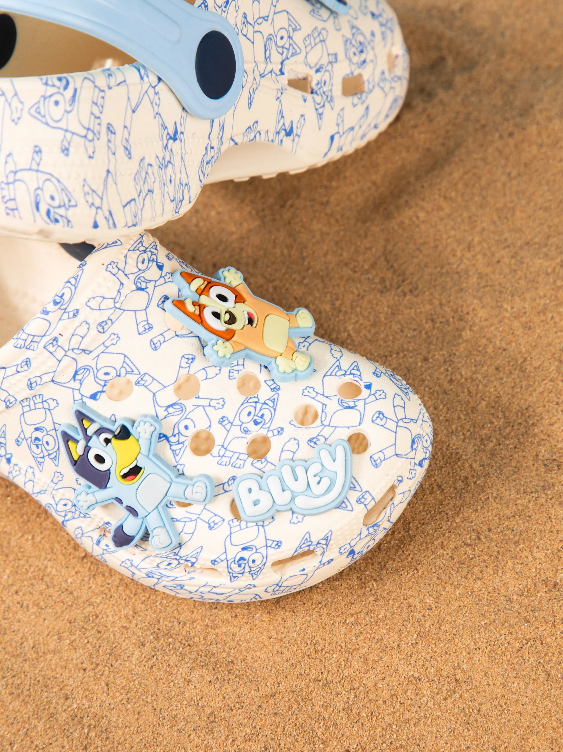 Bluey Boys Clogs