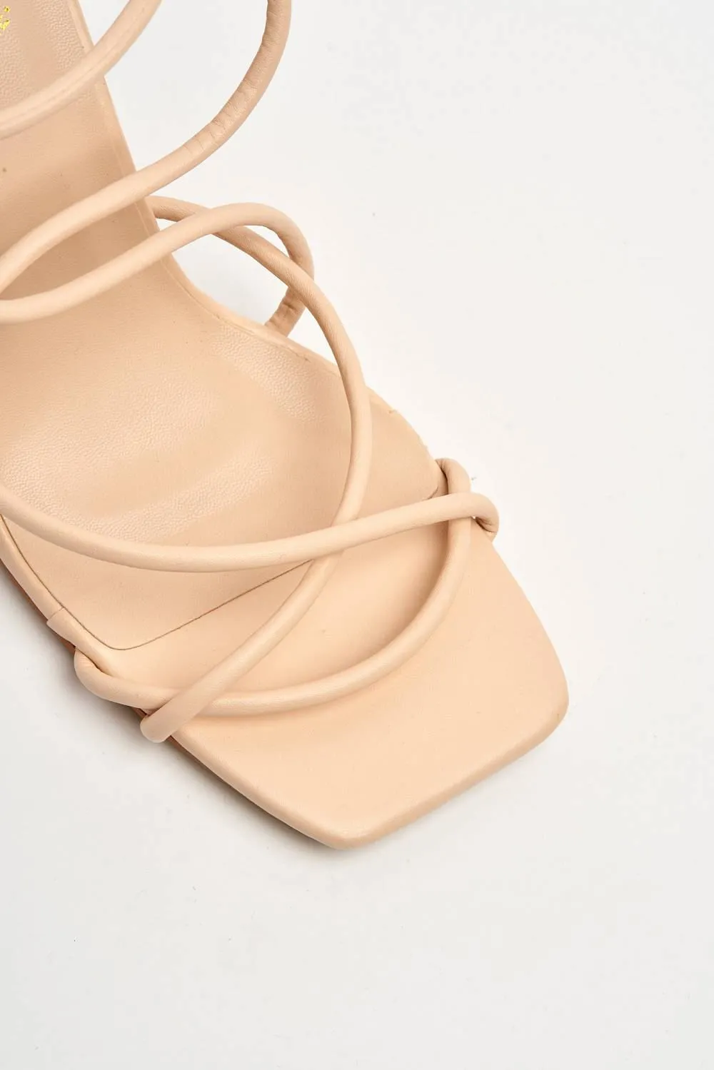 Chanis Thick Strappy Block Heel Sandal in Nude